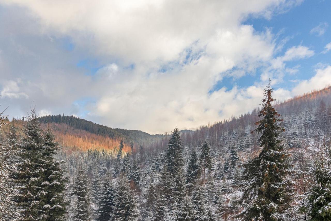 Konopka Forest Home & Spa Bukovel Exteriör bild