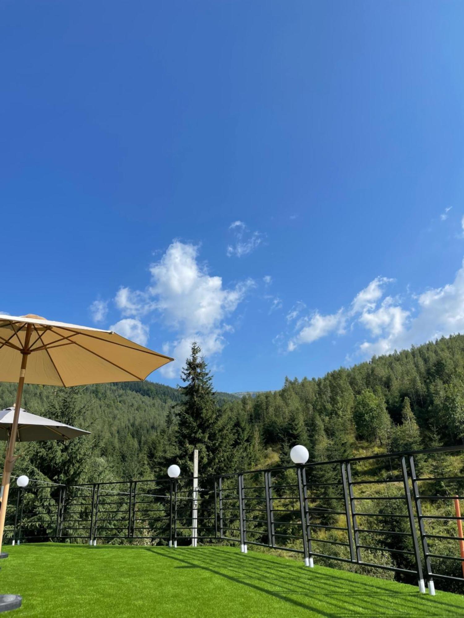 Konopka Forest Home & Spa Bukovel Exteriör bild
